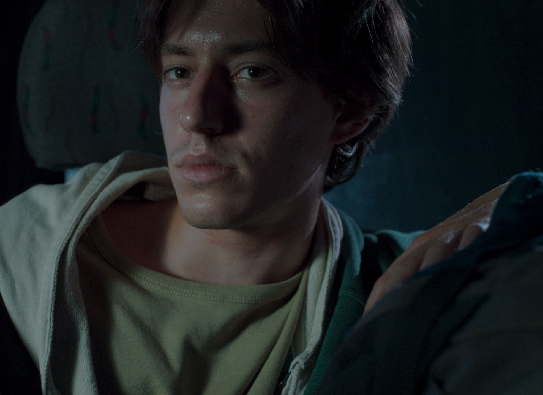 À l'Ombre des Sommets — Still 3